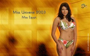 Miss Universe 2003